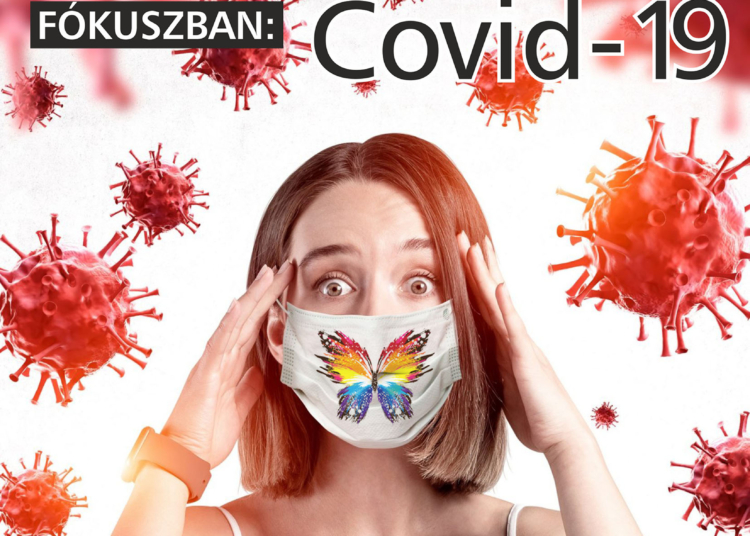 Hirdetőket keresünk Pillangó magazinunkba