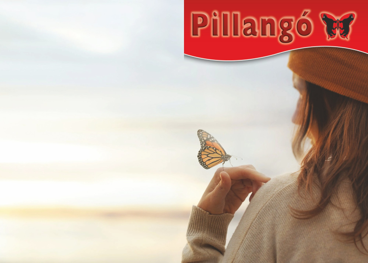 Tavasszal megjelenik a Pillangó magazin 13. lapszáma
